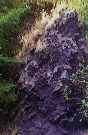 20100904 MyCaldera