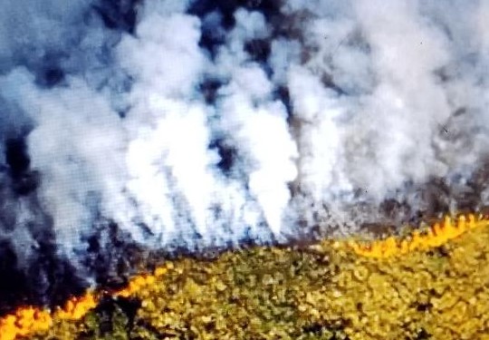 2019 Amazon Forest Fire 2019 Amazon Fire