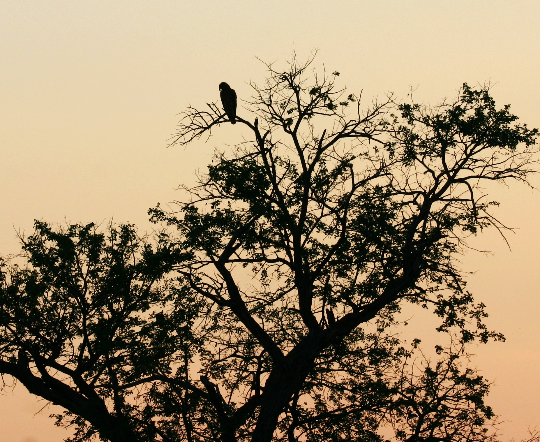 A calm morning, a peaceful moment . . . .