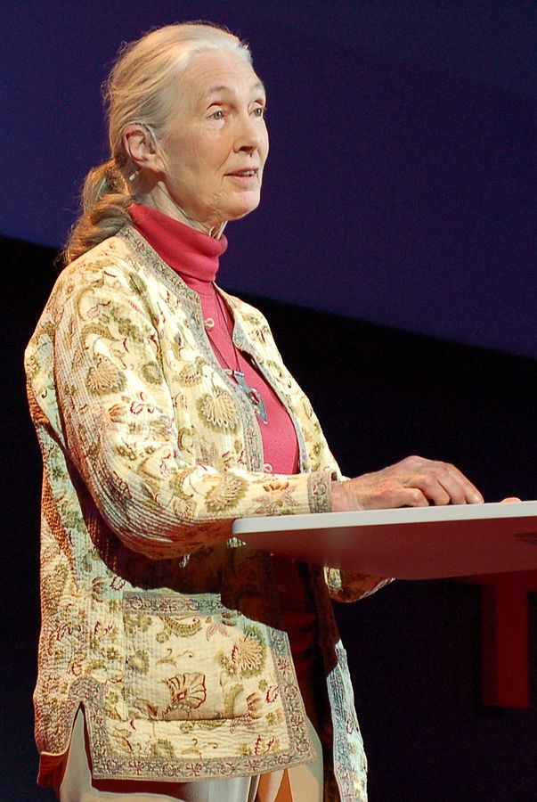 jane goodall jane goodall