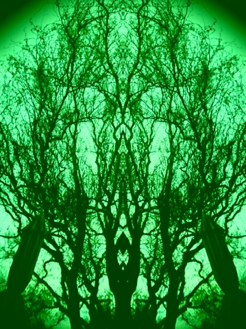 Tree Sprite